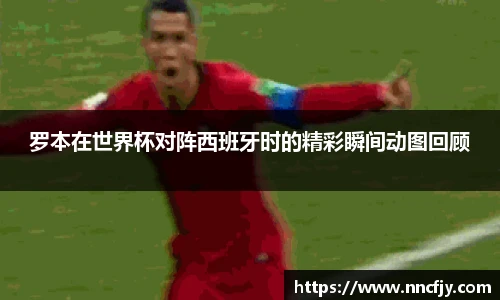 罗本在世界杯对阵西班牙时的精彩瞬间动图回顾